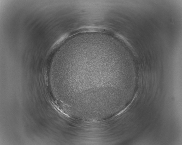 X0000078871403200611201327