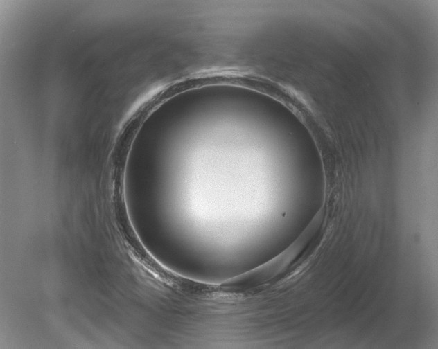 X0000078871406200611201327