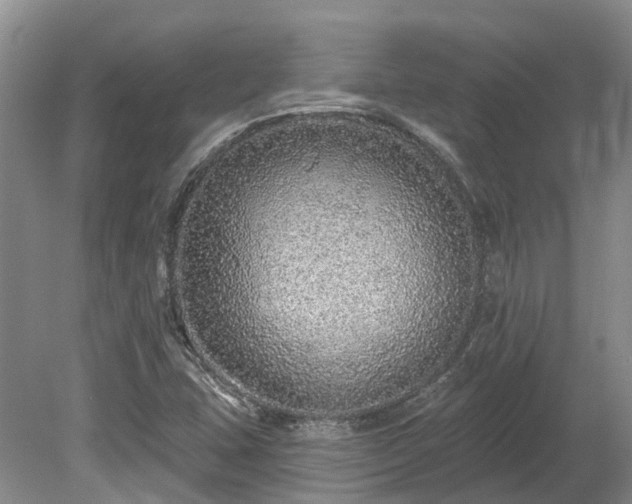 X0000078871407200611201327