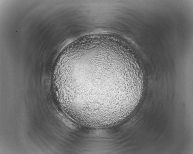 X0000078871409200611201327