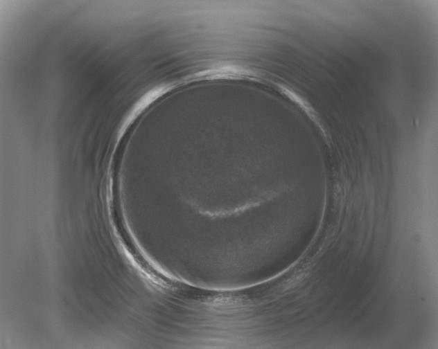 X0000078871418200611201328