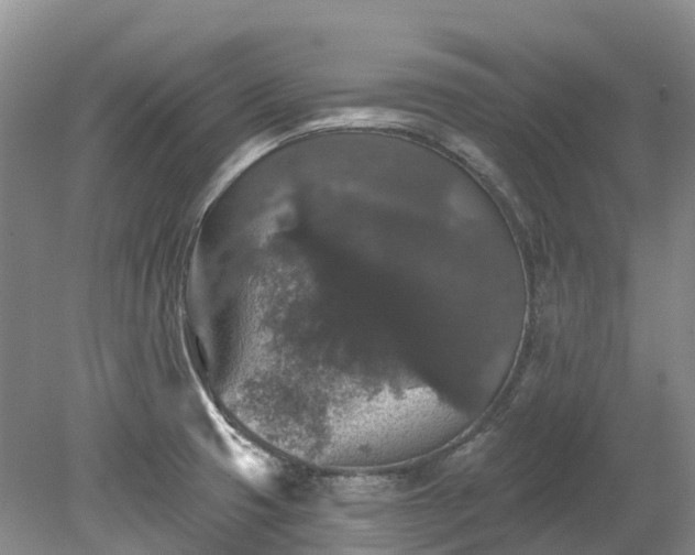 X0000078871425200611201328