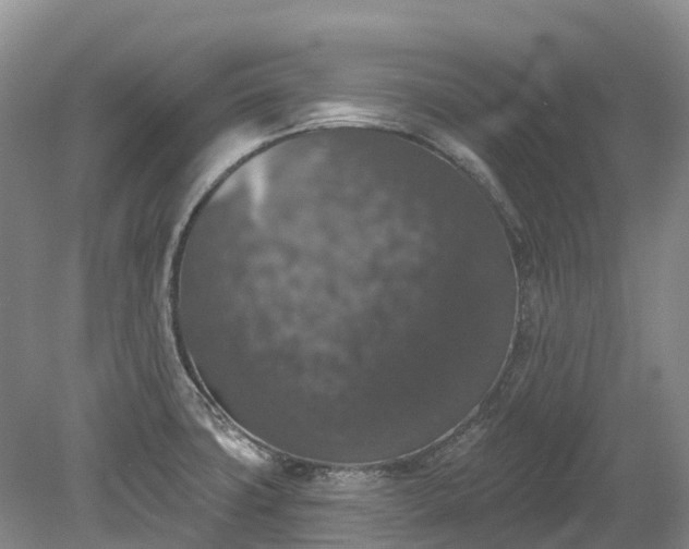 X0000078871427200611201328