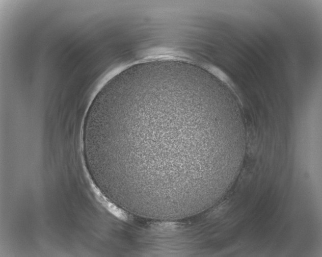 X0000078871431200611201328