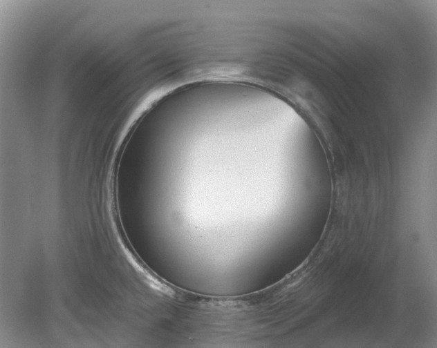 X0000078871432200611201328