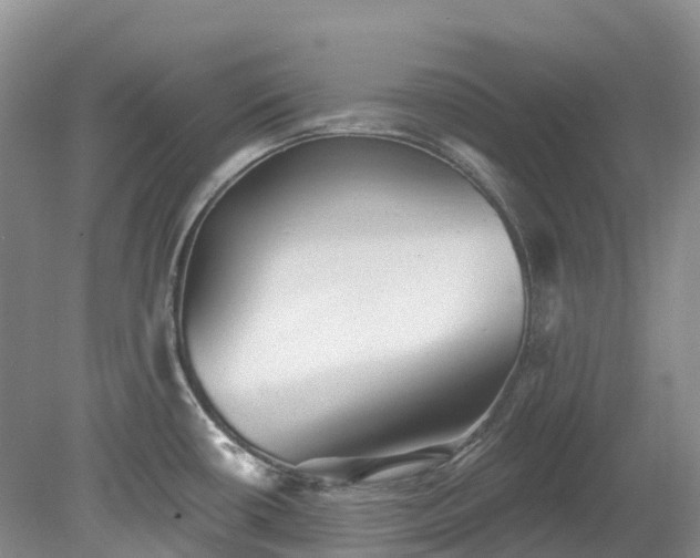 X0000078871434200611201328