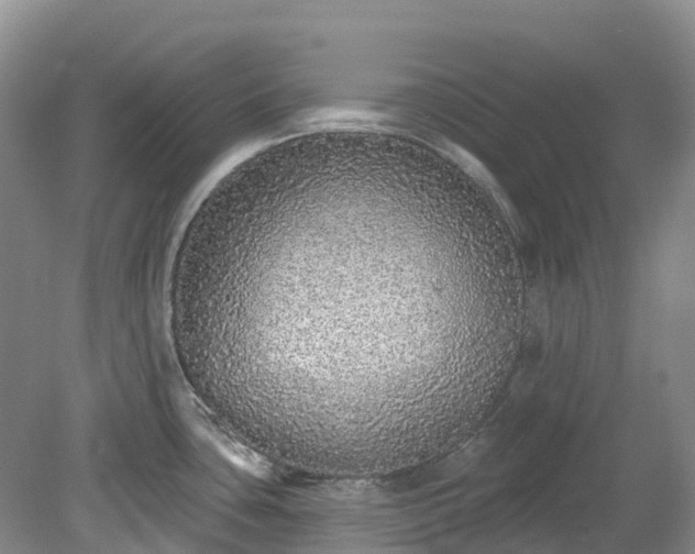 X0000078871435200611201328