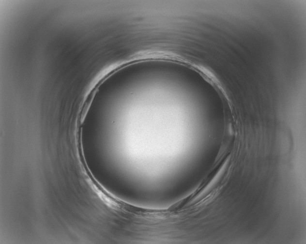 X0000078871438200611201328