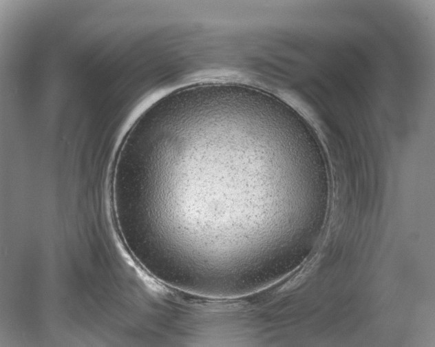 X0000078871440200611201328