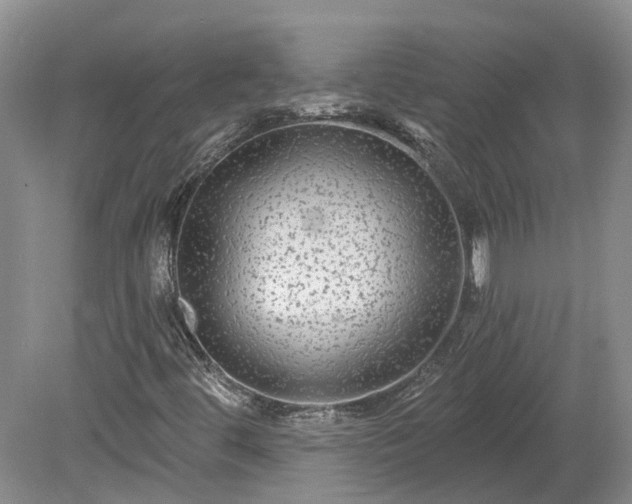 X0000078871444200611201327