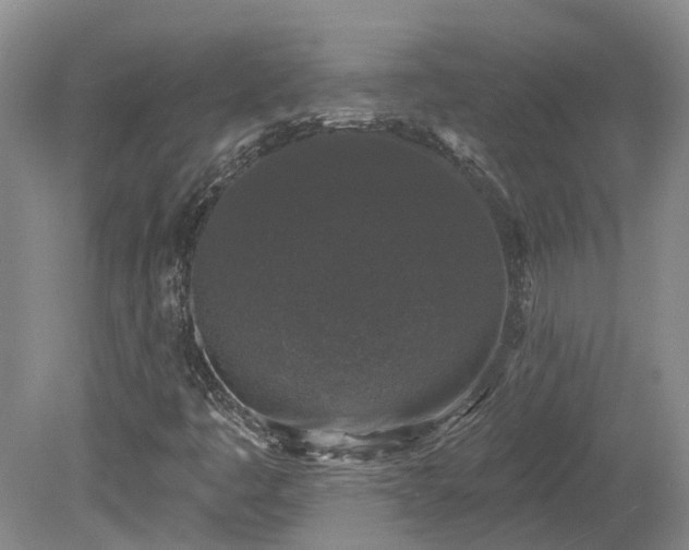 X0000078871445200611201327