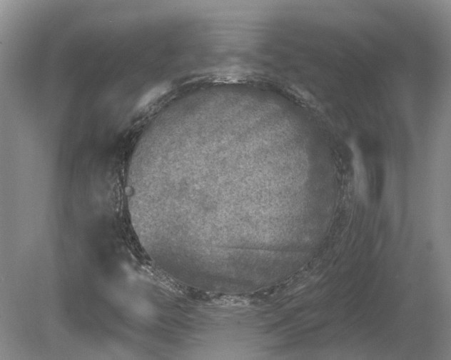 X0000078871446200611201327