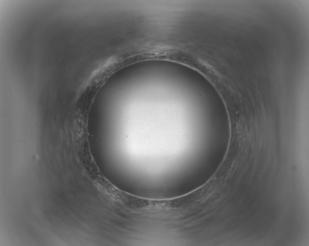 X0000078871447200611201327