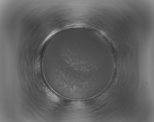 X0000078871450200611201327