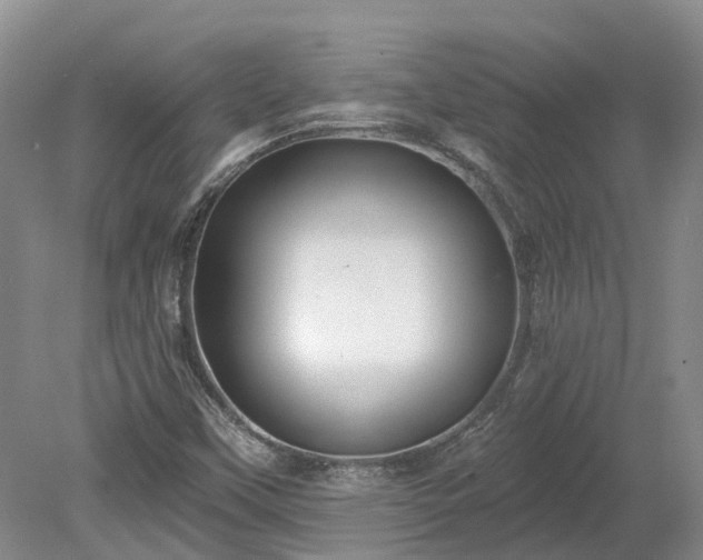 X0000078871451200611201327