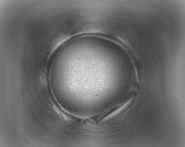 X0000078871452200611201327