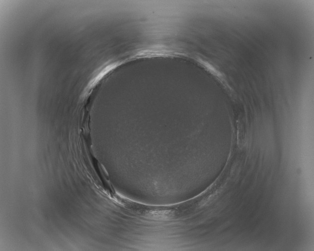 X0000078871453200611201327