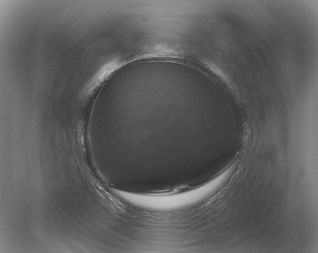 X0000078871455200611201327