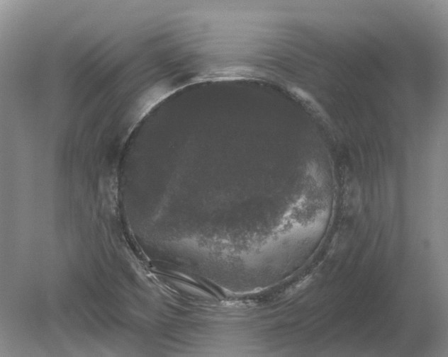 X0000078871457200611201327