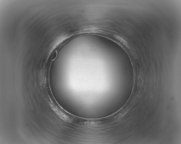 X0000078871458200611201327