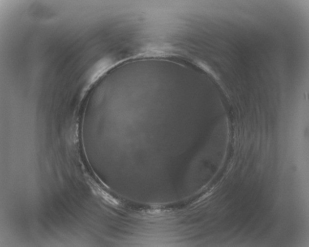 X0000078871459200611201327