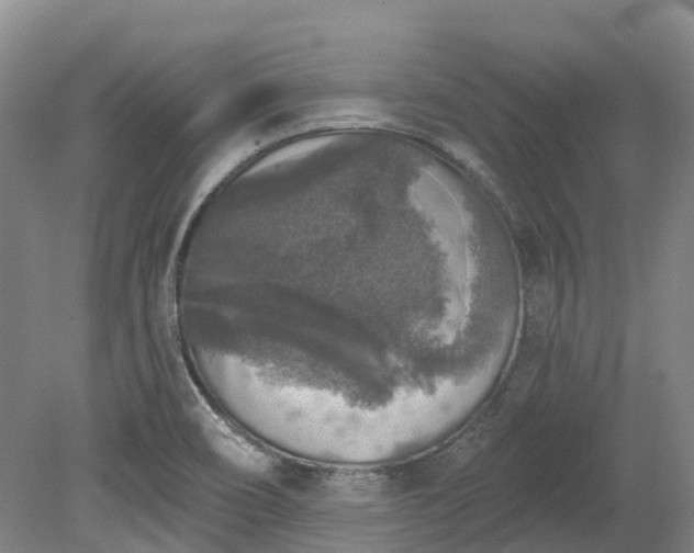X0000078871466200611201327