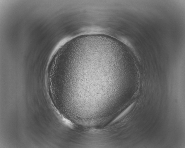 X0000078871472200611201327