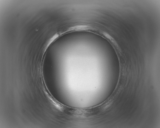 X0000078871473200611201327
