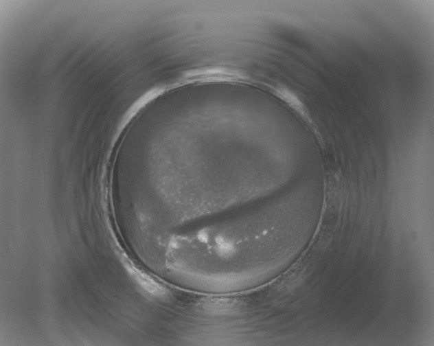 X0000078871474200611201327