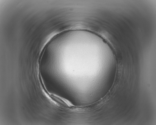 X0000078871476200611201326