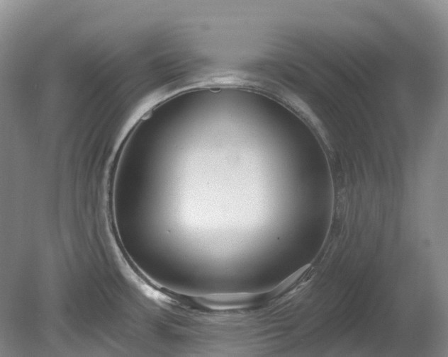 X0000078871483200611201326