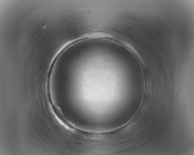 X0000078871484200611201326