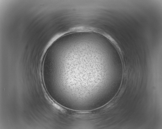 X0000078871486200611201326