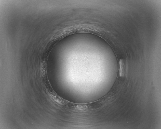 X0000078871491200611201325