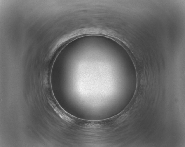 X0000078871499200611201326
