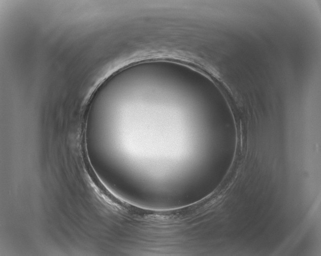 X0000078871500200611201326