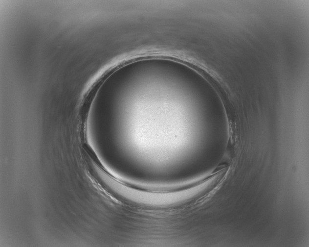 X0000078871502200611201326