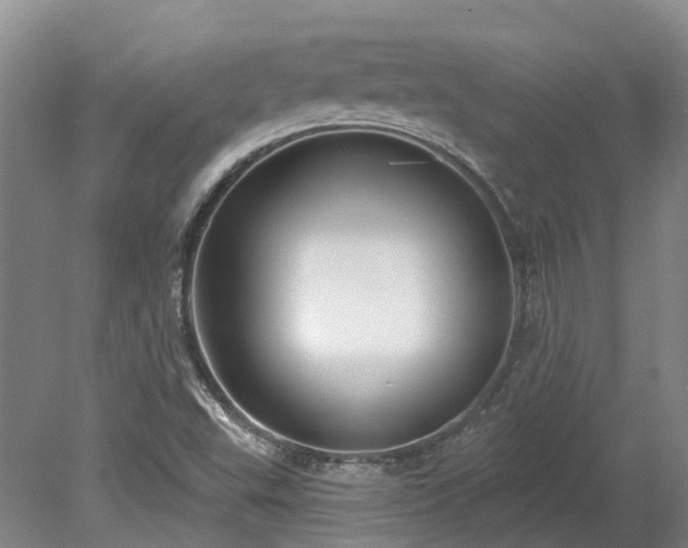 X0000078871503200611201326