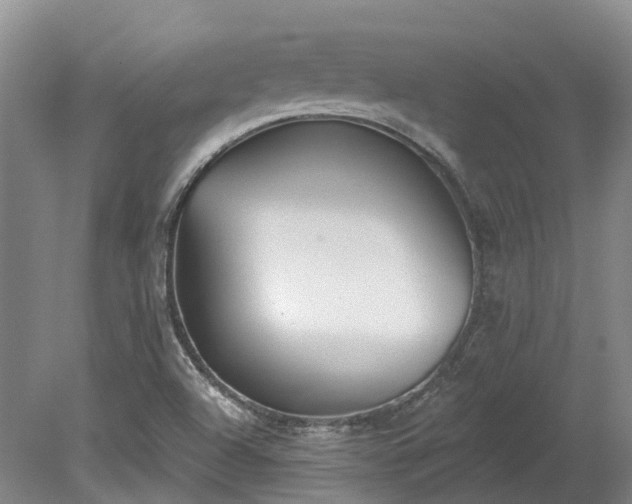 X0000078871504200611201326