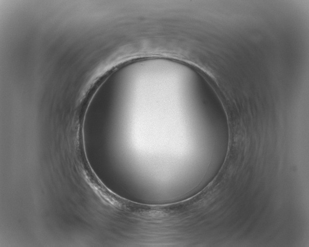 X0000078871507200611201326