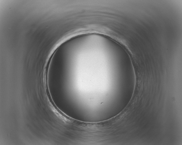 X0000078871516200611201326