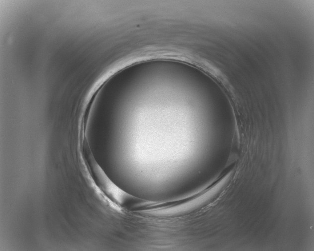 X0000078871520200611201326