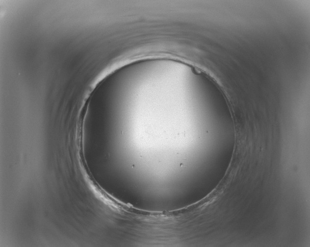 X0000078871526200611201326