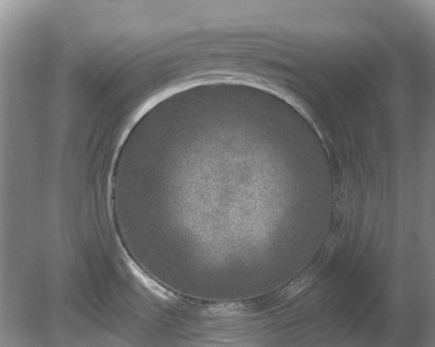 X0000078871535200611201326