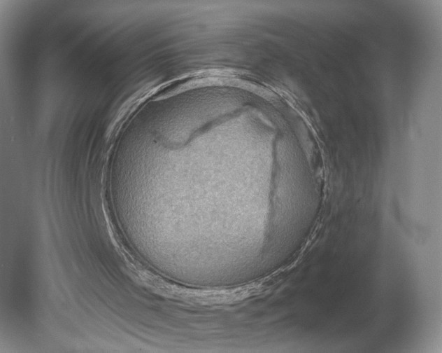 X0000078870001200611271313