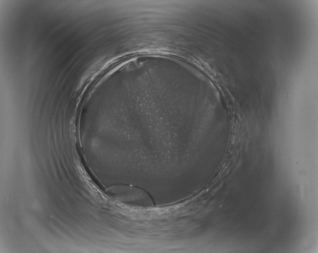 X0000078870002200611271313