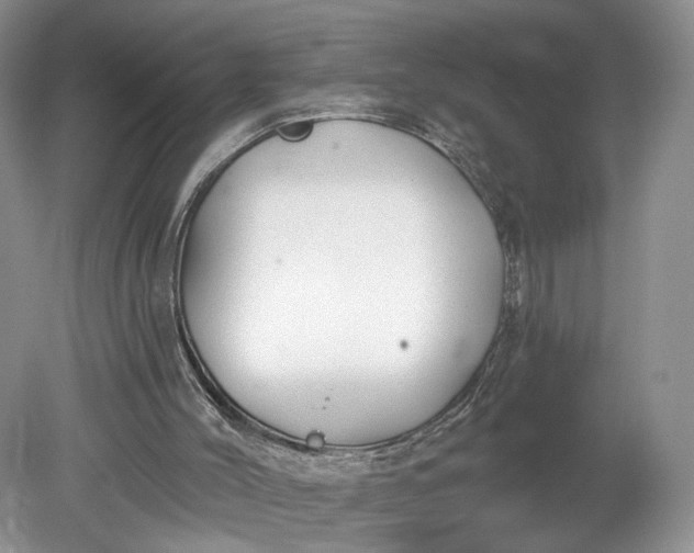 X0000078870004200611271313