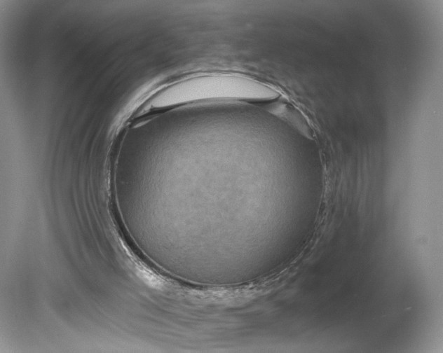 X0000078870005200611271313