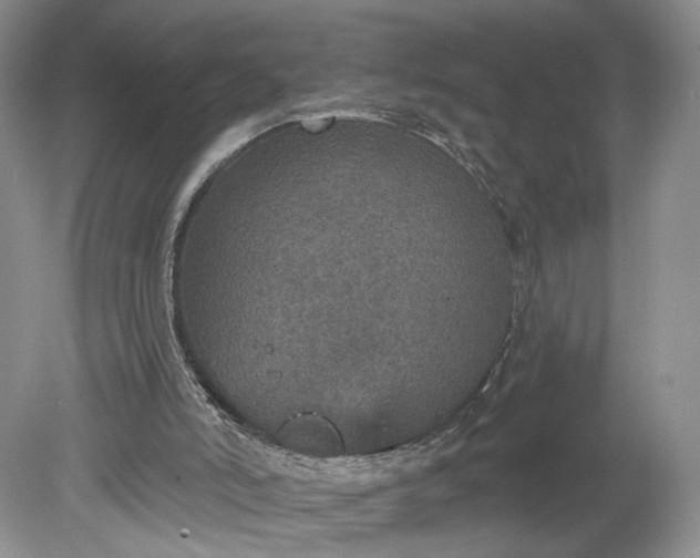 X0000078870006200611271313