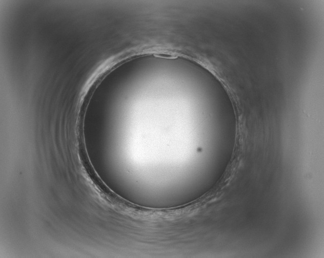 X0000078870007200611271313